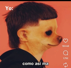 Roommate Jackeline  buscando habitación en Pereira