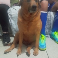 Cristal