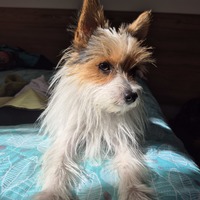 Sergio 