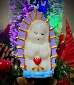 Roommate Angélica  buscando habitación en Bucaramanga