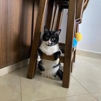 SERGIO