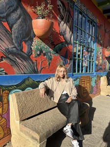 Roommate Luisa María buscando habitación en Bogotá