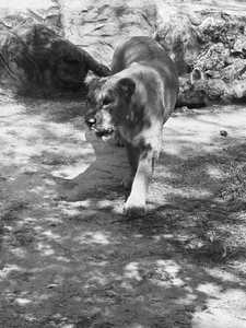 Roommate María Fernanda  buscando habitación en Barranquilla