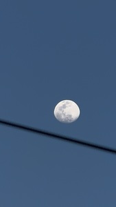 Roommate David  buscando habitación en Pasto