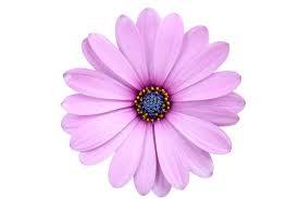 Roommate Maria buscando habitación en Itagüi