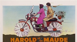 Roommate Sara  buscando habitación en Medellín