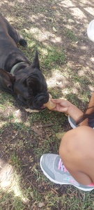 Roommate Mariajose  buscando habitación en Sabaneta