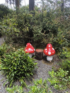 Roommate Yeferson  buscando habitación en Medellín