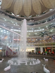 Roommate Valentina  buscando habitación en Bogotá