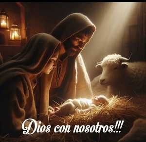 Roommate Jacqueline De Jesus buscando habitación en Bogotá