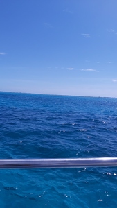 Roommate Steven  buscando habitación en Floridablanca