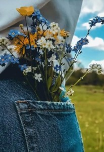 Roommate Nikolas buscando habitación en 