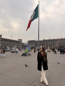 Roommate Luna buscando habitación en Medellín