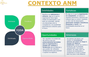 Roommate SILVANA  buscando habitación en Bogotá