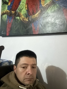 Roommate Nelson buscando habitación en RinconMedellín