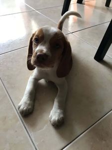 Roommate Maria Camila  buscando habitación en Medellín