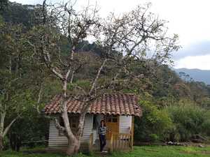 Roommate Elena buscando habitación en 