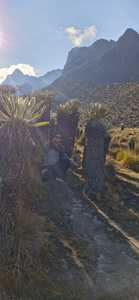 Roommate Michael buscando habitación en Neiva