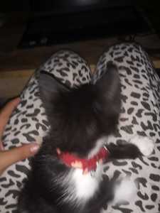 Roommate Enma Meily buscando habitación en Cali