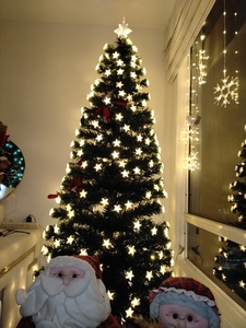 Roommate Gustavo  buscando habitación en 