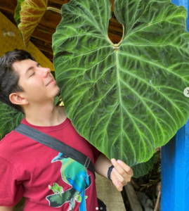 Roommate Jefry buscando habitación en Bogotá