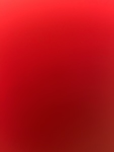 Roommate Caro buscando habitación en Cartagena