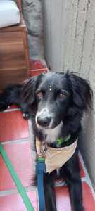 Roommate Paula buscando habitación en Bucaramanga