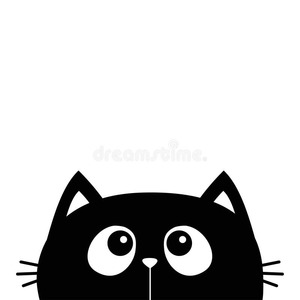 Roommate Luz buscando habitación en Bogotá