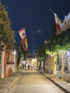 Roommate Andrea buscando habitación en Retiro