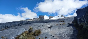 Roommate Cesar buscando habitación en 