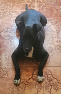 Roommate Miguel buscando habitación en Bogotá