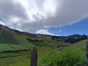 Roommate Isabel buscando habitación en Bello