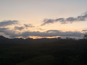 Roommate Jose buscando habitación en Medellín
