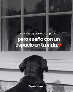 Roommate Diana buscando habitación en Bello