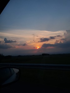 Roommate Luisa buscando habitación en Cali