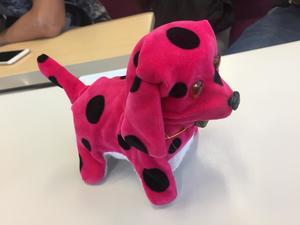 Roommate Nadim buscando habitación en 