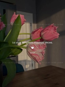 Roommate Aura buscando habitación en Cali
