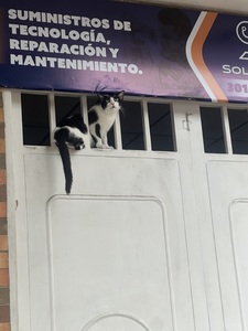 Roommate Lina  buscando habitación en Bucaramanga