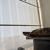 profile_Karol