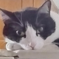 Gloria 