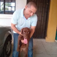 Luis Carlos