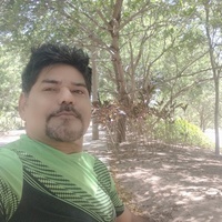 Enrico 