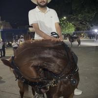 Juan Pablo