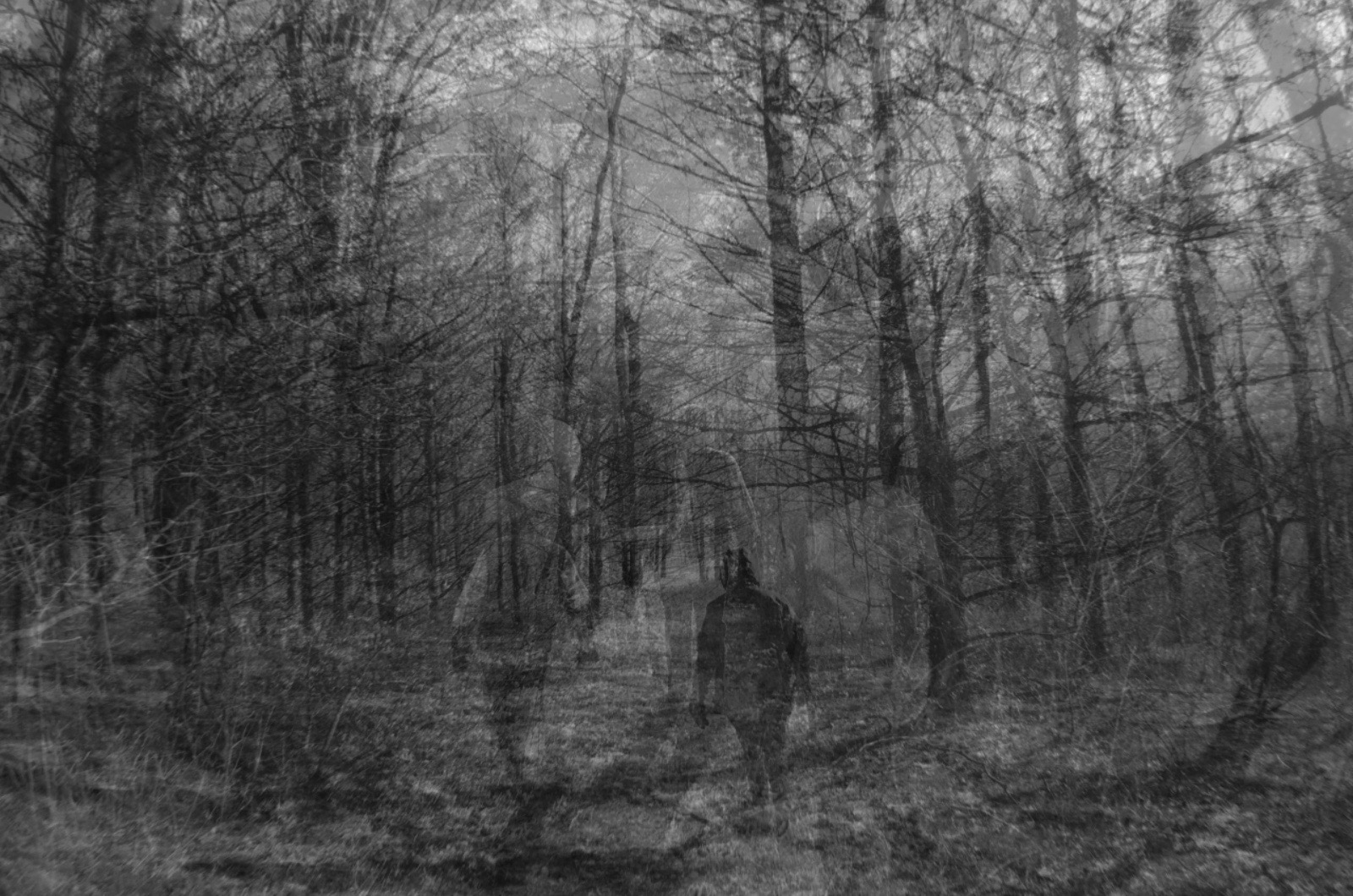 ImageDarkMatter Average Gray