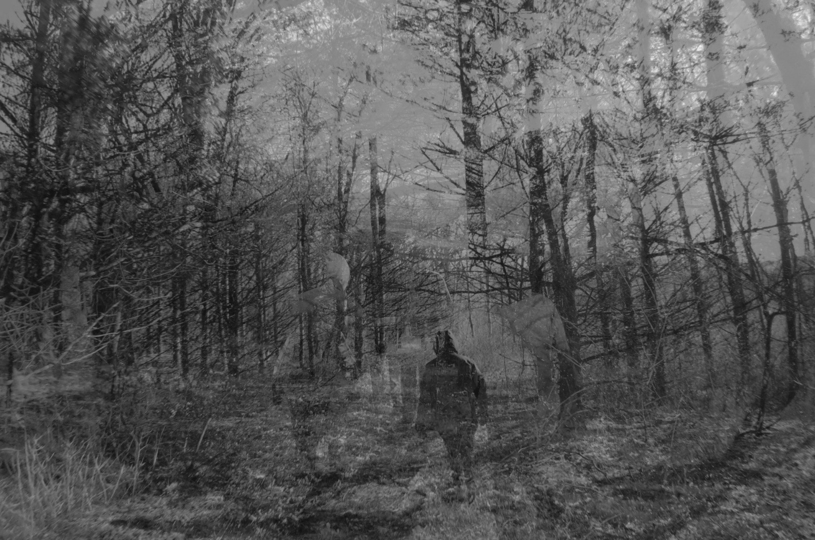 ImageDarkMatter Middle Gray