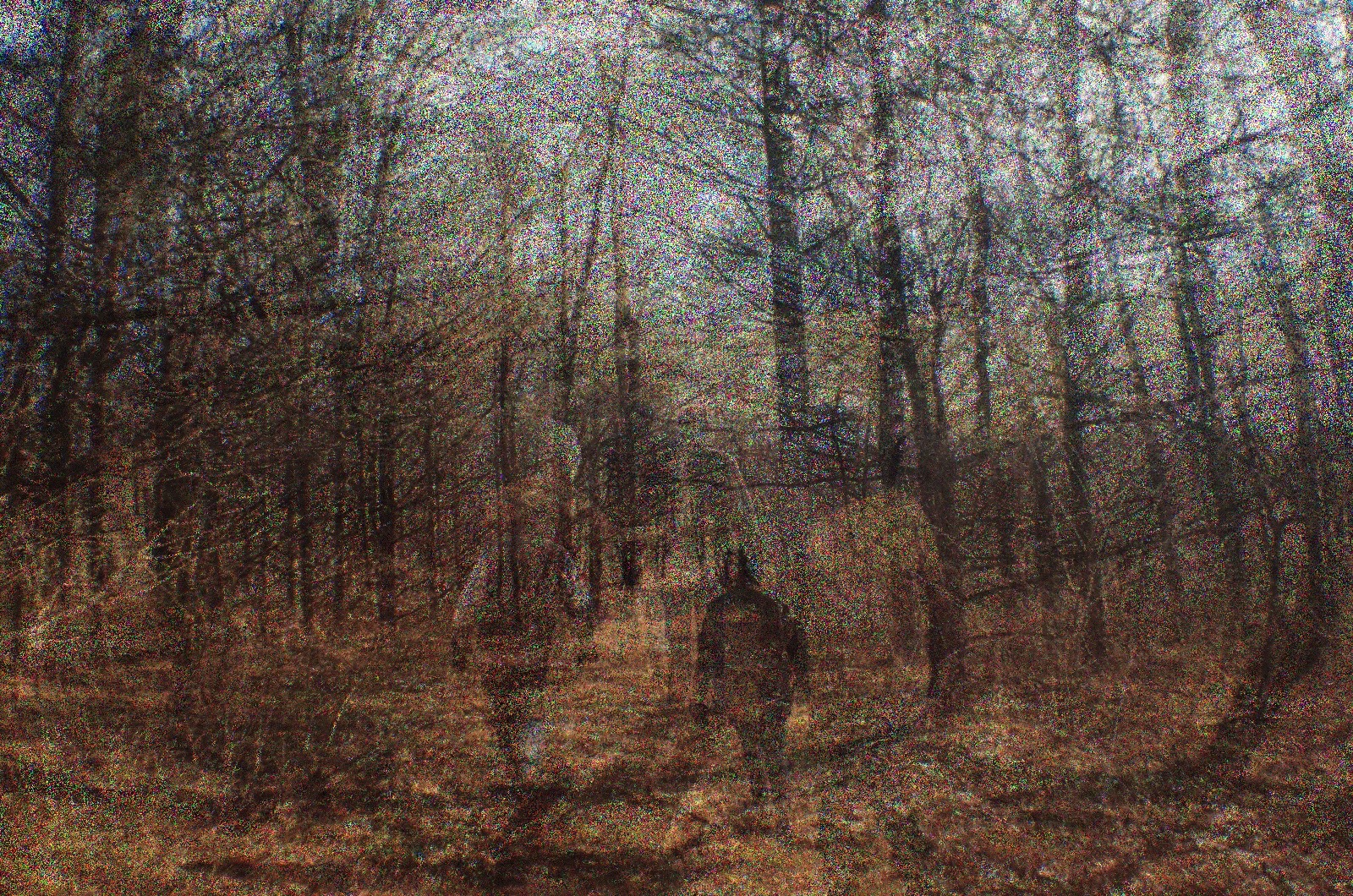 ImageDarkMatter Random