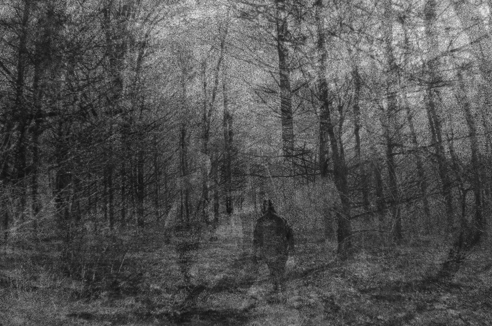ImageDarkMatter Random Gray