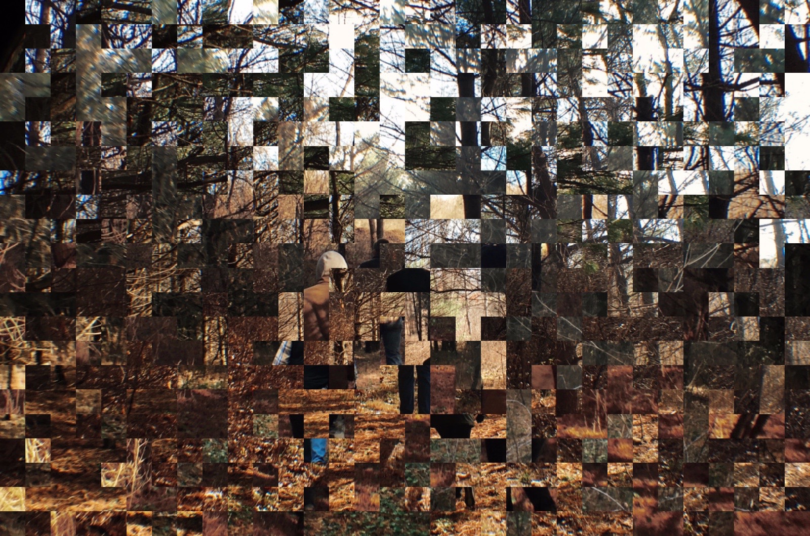 ImageDarkMatter Select