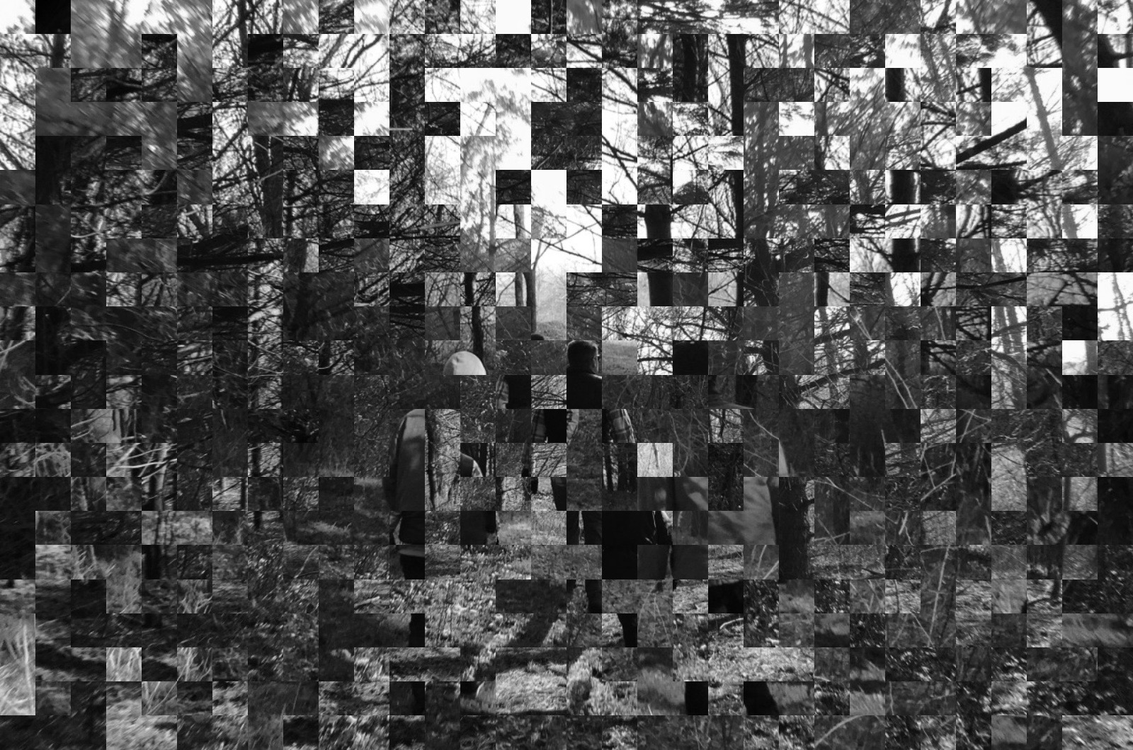 ImageDarkMatter Select Gray