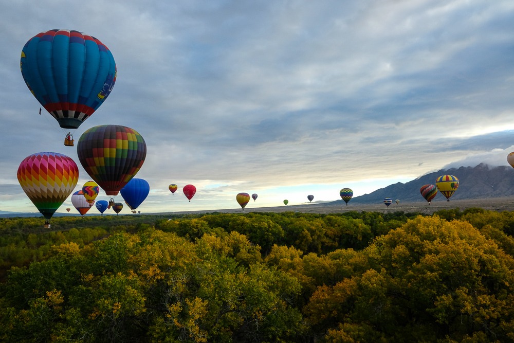 Several hot air balloons